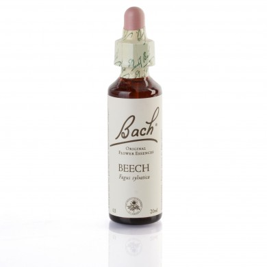 BEECH (hêtre) 20 ml