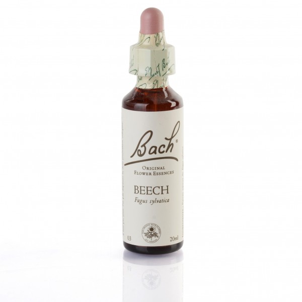 BEECH (hêtre) 20 ml