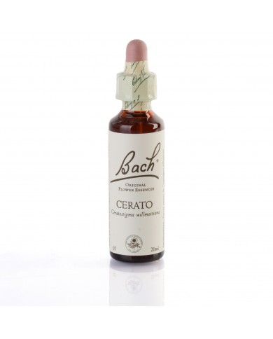 CERATO (plantain) 20 ml