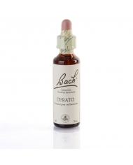 CENTAURY (petite centaurée) 20 ml