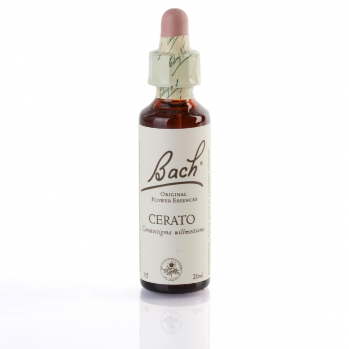 CERATO (plantain) 20 ml