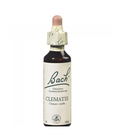 CLEMATIS (clématite des haies) 20 ml