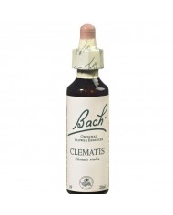 CHICORY (chicorée sauvage) 20 ml