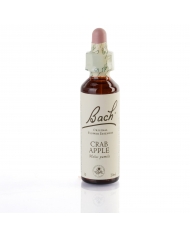 ELM (orme champetre) 20 ml