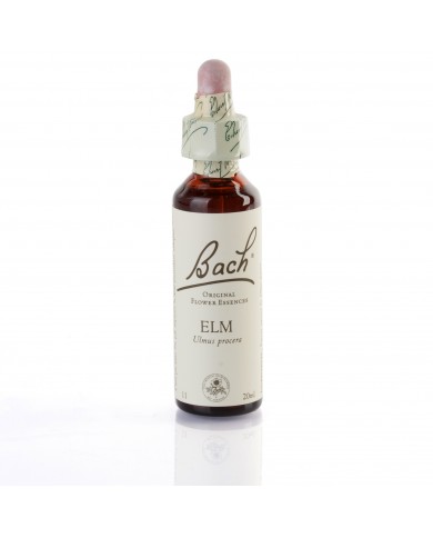 ELM (orme champetre) 20 ml