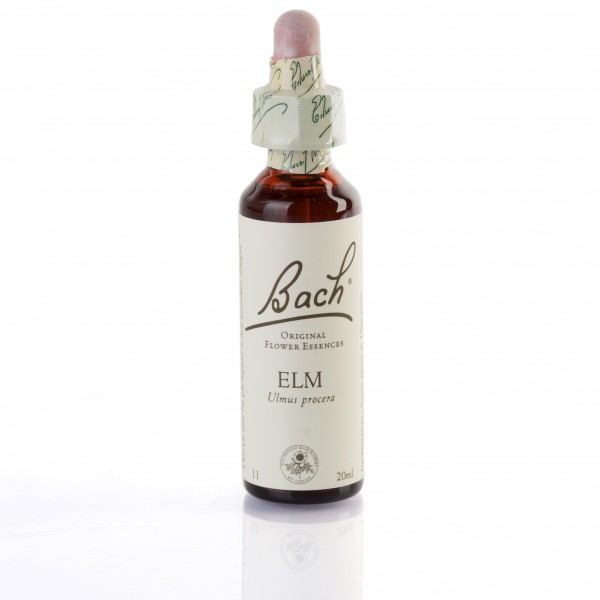 ELM (orme champetre) 20 ml