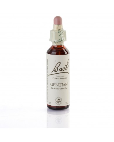 GENTIAN ( gentiane ) 20 ml