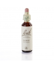 GENTIAN ( gentiane ) 20 ml