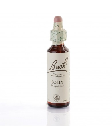 HOLLY ( houx ) 20 ml