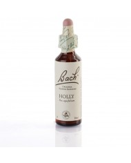 HONEY SUCKLE ( chêvrefeuille ) 20 ml