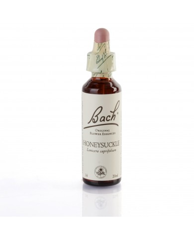HONEY SUCKLE ( chêvrefeuille ) 20 ml