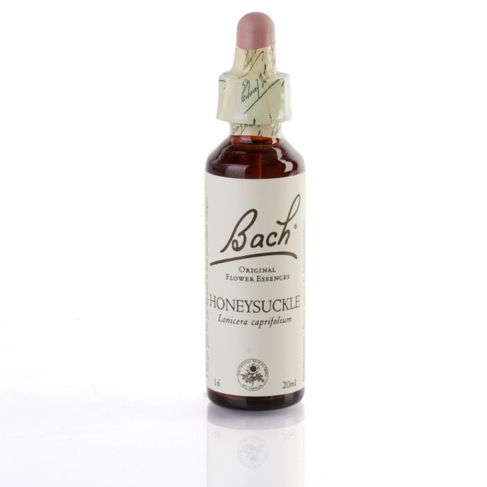 HONEY SUCKLE ( chêvrefeuille ) 20 ml