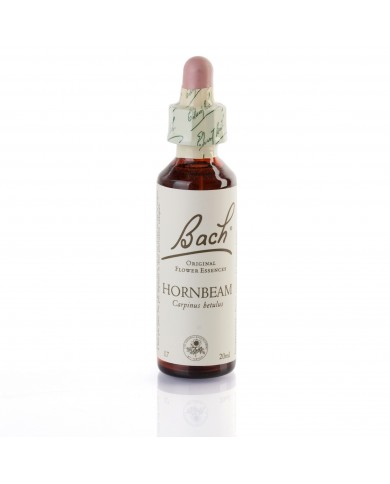 HORNBEAM (charme) 20 ml