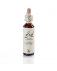 HONEY SUCKLE ( chêvrefeuille ) 20 ml