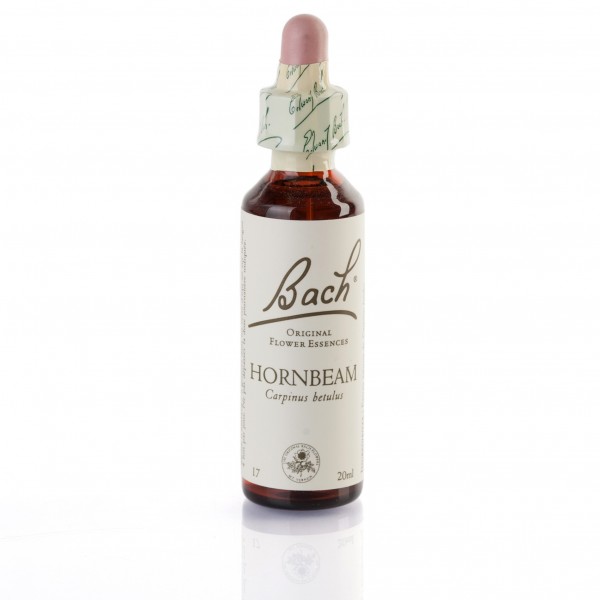 HORNBEAM (charme) 20 ml