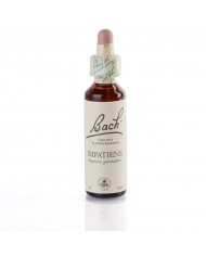 LARCH (mélèze) 20 ml