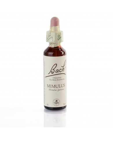 MIMULUS (mimule tacheté) 20 ml