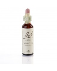 MUSTARD ( moutarde ) 20 ml