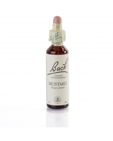 MUSTARD ( moutarde ) 20 ml