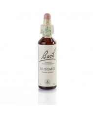 OAK ( chêne ) 20 ml