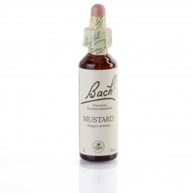 MUSTARD ( moutarde ) 20 ml
