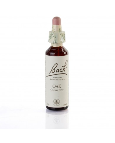 OAK ( chêne ) 20 ml