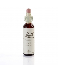 OLIVE ( olivier ) 20 ml