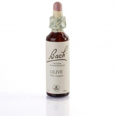 OLIVE ( olivier ) 20 ml