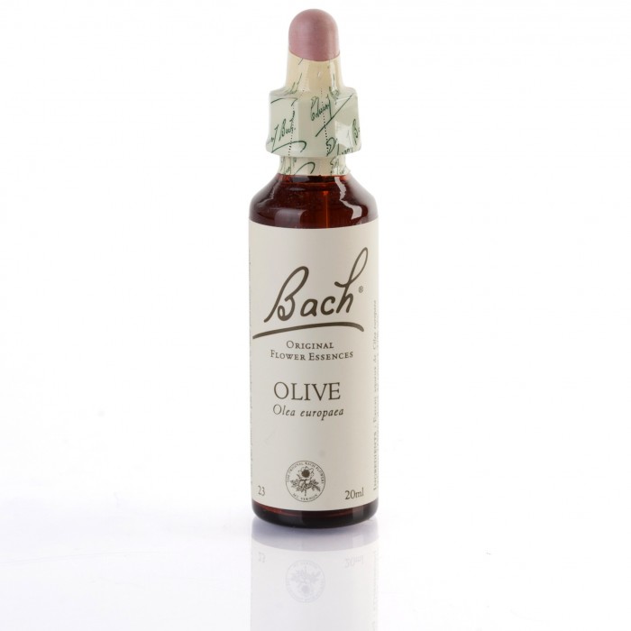OLIVE ( olivier ) 20 ml