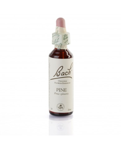 PINE ( pin sylvestre ) 20 ml