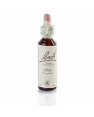OLIVE ( olivier ) 20 ml