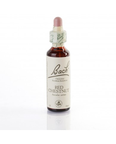 RED CHESTNUT ( marronnier à fleurs rouges ) 20 ml