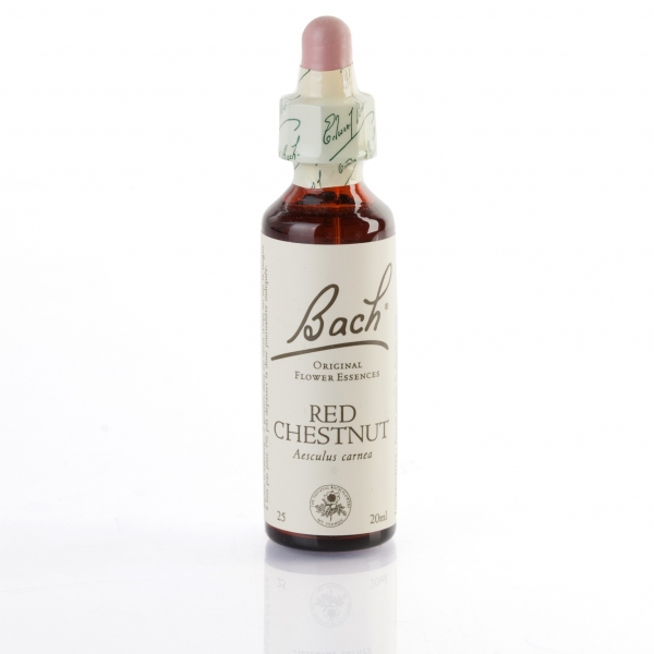 RED CHESTNUT ( marronnier à fleurs rouges ) 20 ml