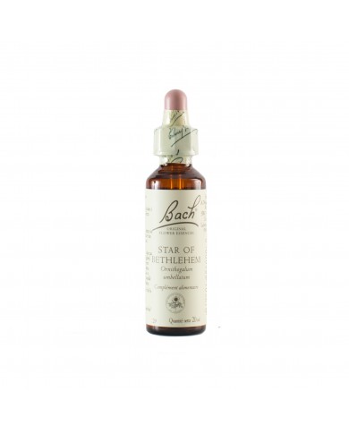 STAR OF BETHLEHEM ( ornithogale en ombelle ) 20 ml