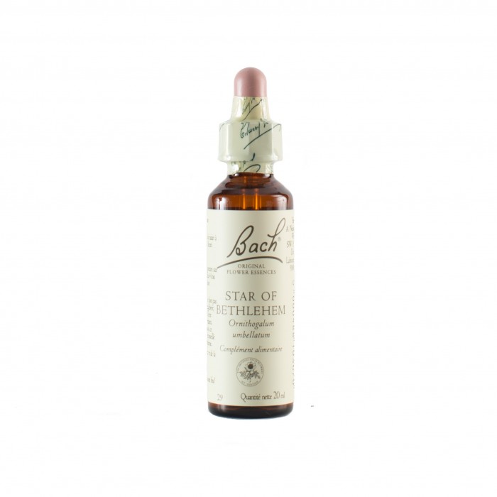 STAR OF BETHLEHEM ( ornithogale en ombelle ) 20 ml