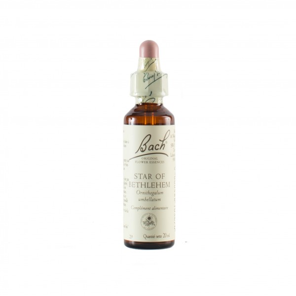 STAR OF BETHLEHEM ( ornithogale en ombelle ) 20 ml