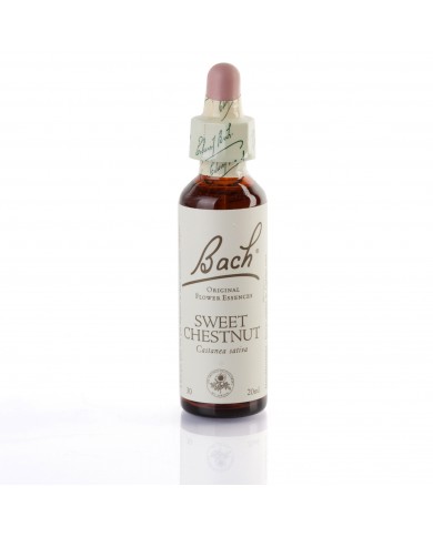 SWEET CHESTNUT ( chataignier ) 20 ml