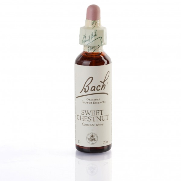 SWEET CHESTNUT ( chataignier ) 20 ml