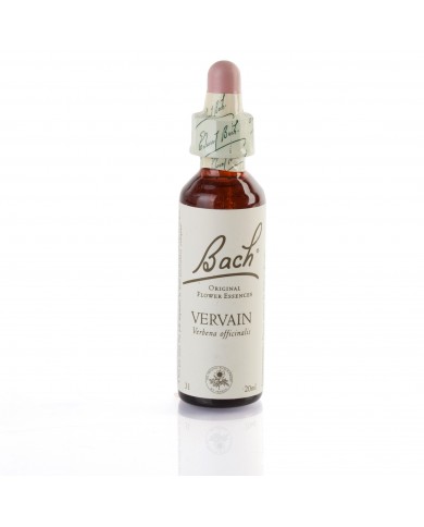 VERVAIN ( verveine officinale ) 20 ml