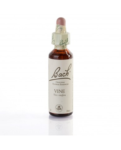 VINE ( vigne ) 20 ml