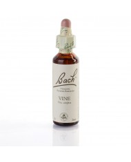 WALNUT ( noyer ) 20 ml