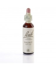 VINE ( vigne ) 20 ml