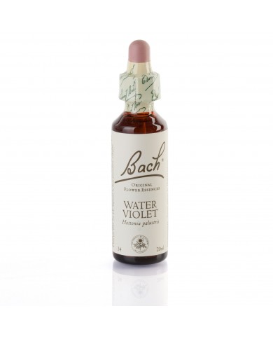 WATER VIOLET ( violette ) 20 ml