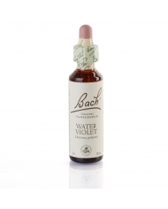 WALNUT ( noyer ) 20 ml