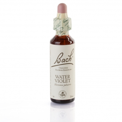 WATER VIOLET ( violette ) 20 ml