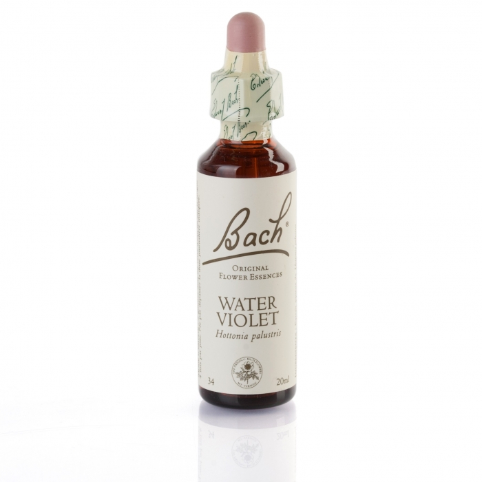 WATER VIOLET ( violette ) 20 ml