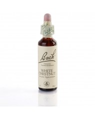 WILD OAT ( folle avoine ) 20 ml