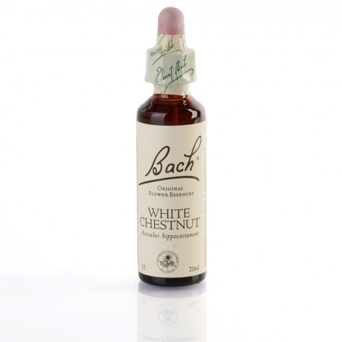 WHITE CHESTNUT ( marronnier d'inde à fleurs blanches ) 20 ml