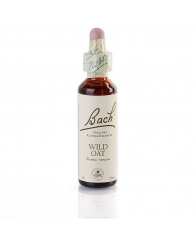 WILD OAT ( folle avoine ) 20 ml