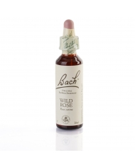 WILLOW ( saule blanc ) 20 ml